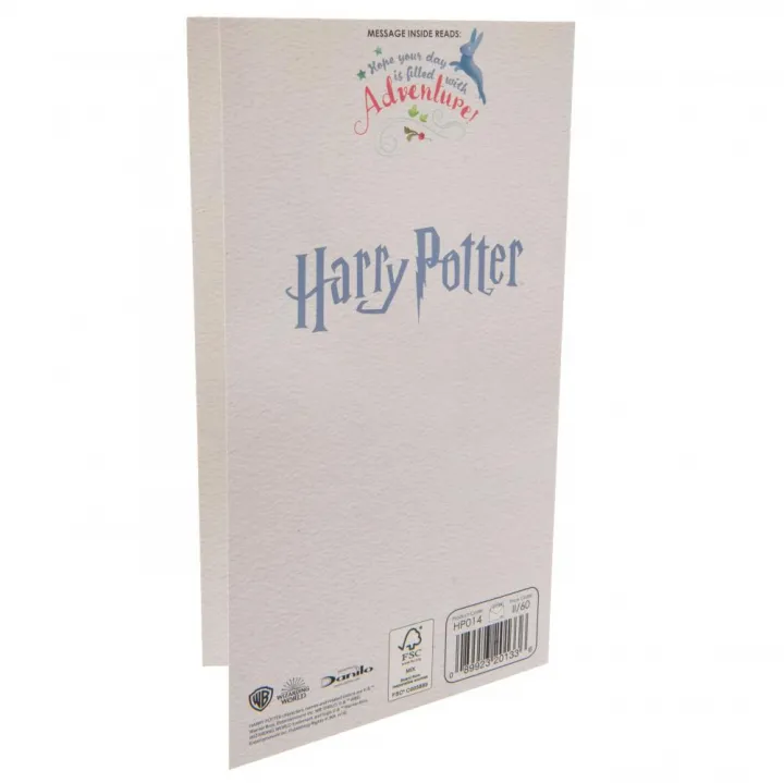Harry Potter картичка за рожден ден Sister – снимка 4