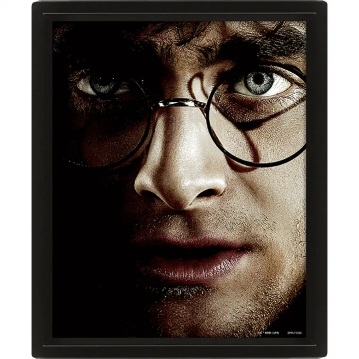 Harry Potter Framed 3D Picture – снимка 2