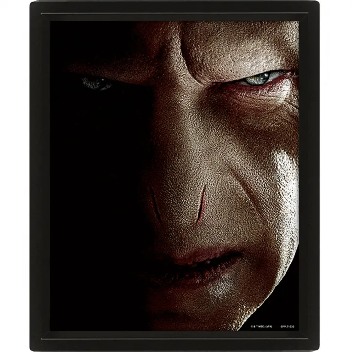 Harry Potter Framed 3D Picture – снимка 3