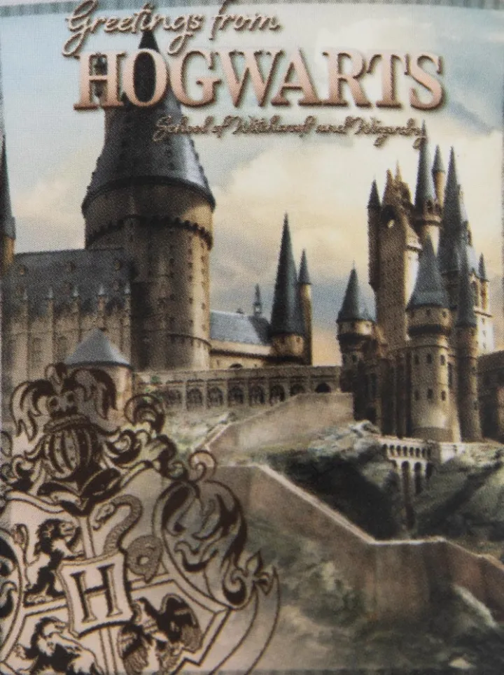 Harry Potter Hogwarts Castle Premium Fleece Blanket – снимка 4