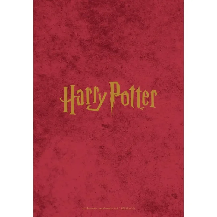 Harry Potter дневник органайзер 2027 – снимка 3