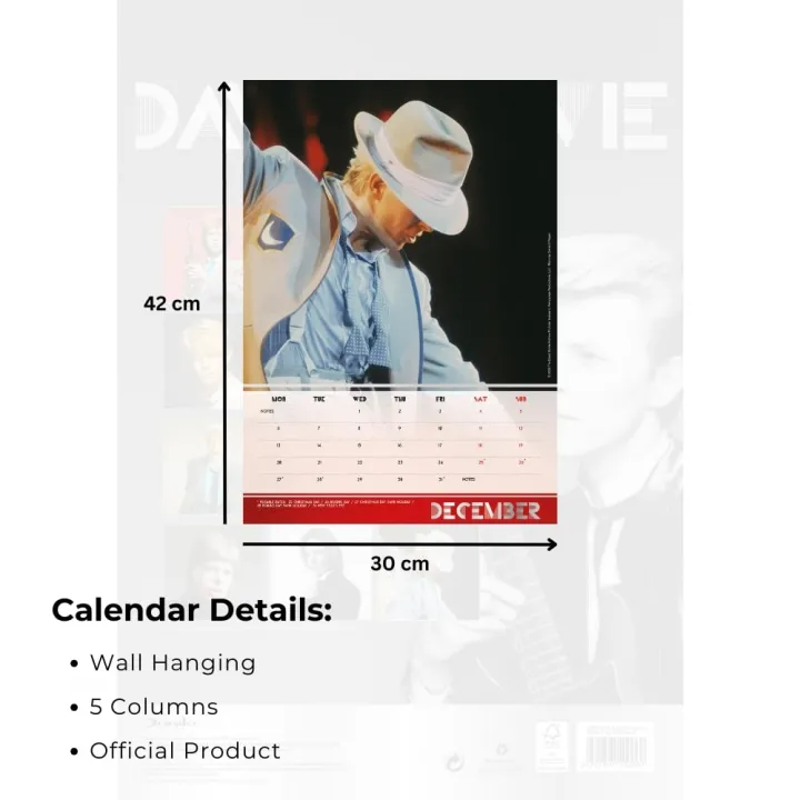 David Bowie A3 Calendar 2027 – снимка 5